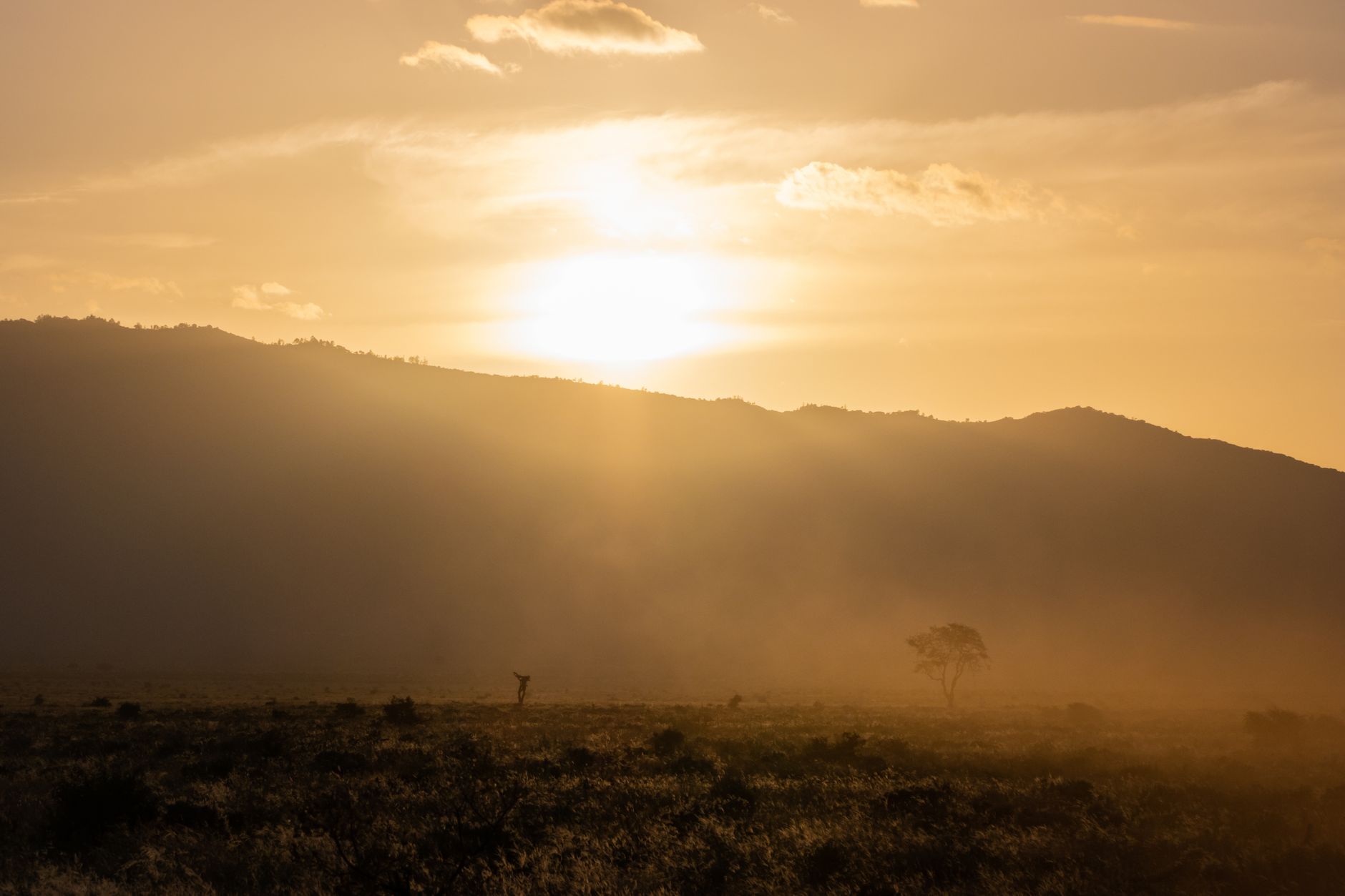 voyage kenya