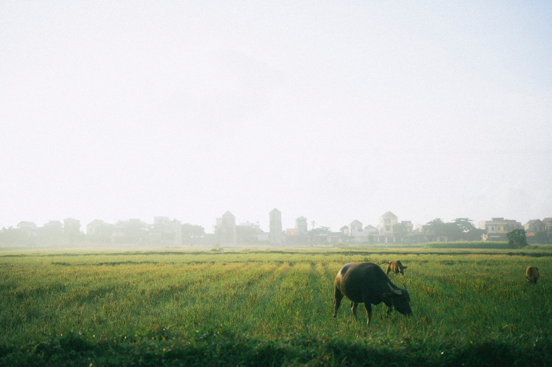 voyage vietnam