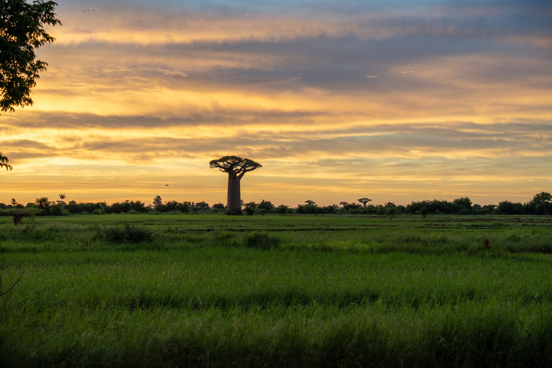 Voyage Madagascar 2026 – guide pratique Marocains