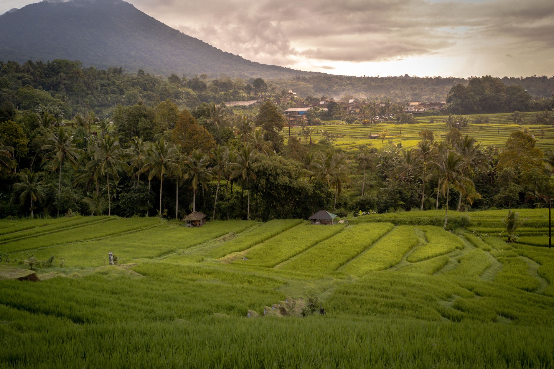 Voyage Bali période : le guide ultime 2026