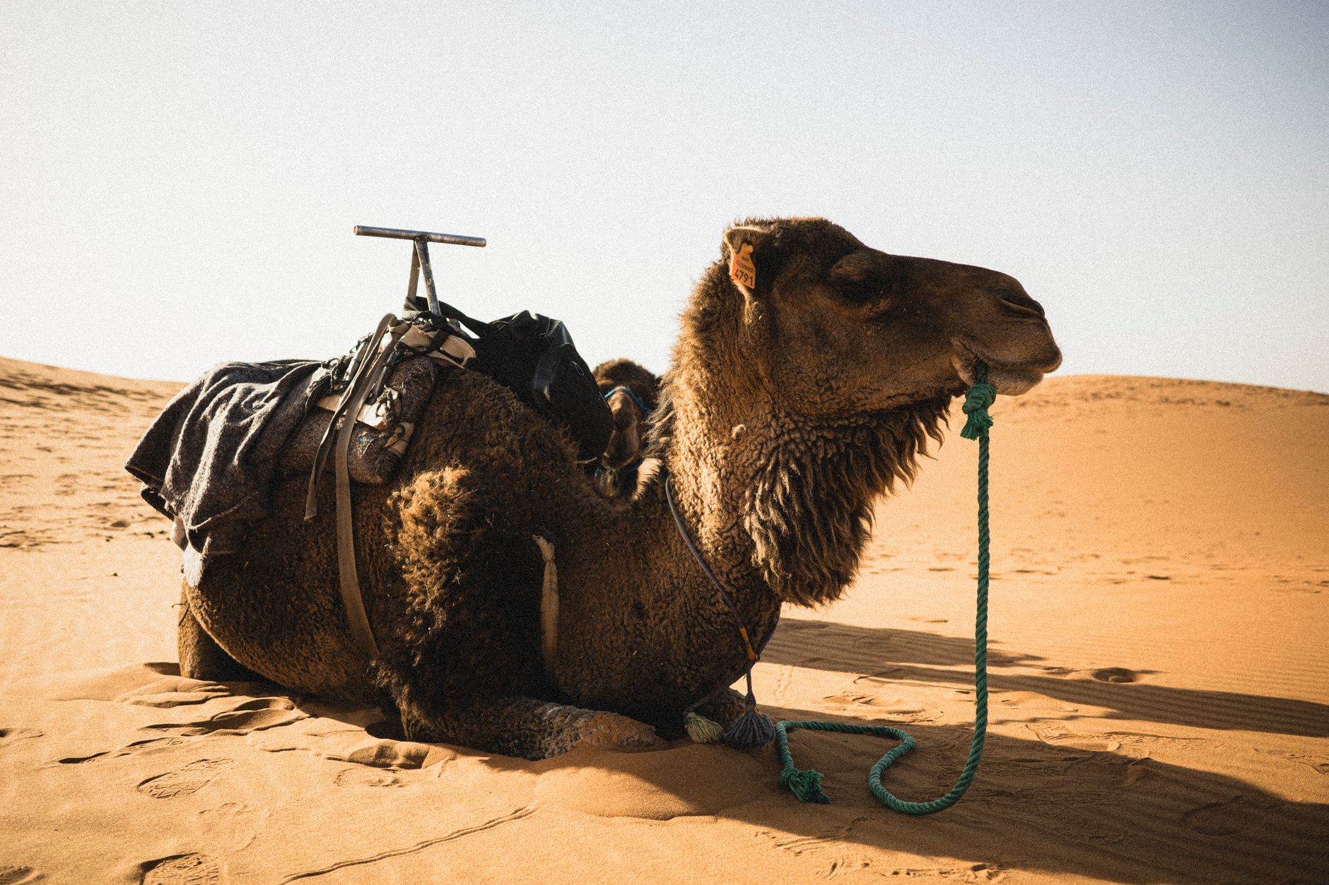 Voyage Maroc 2026 : guide ultime, itinéraires et bons plans