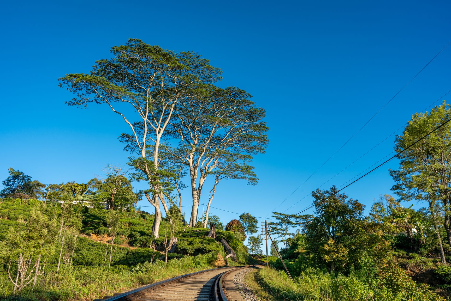 Voyage Sri Lanka Maroc : visa et budget 2026